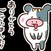 ヒメ日記 2026/06/09 17:36 投稿 田中 MadameRest(マダムレスト)