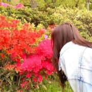 ヒメ日記 2025/07/18 08:46 投稿 れいな ハピネス東京 吉原店