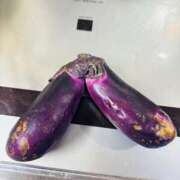 ヒメ日記 2025/07/30 08:50 投稿 てん 愛姫～ラブひめ～