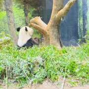 ヒメ日記 2025/09/10 10:14 投稿 てん 愛姫～ラブひめ～