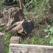 ヒメ日記 2025/09/10 12:05 投稿 てん 愛姫～ラブひめ～