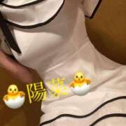 ヒメ日記 2025/08/13 03:01 投稿 陽菜【ヒナ】 Evolution1st キタ兎我野店