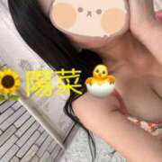 ヒメ日記 2025/08/14 09:21 投稿 陽菜【ヒナ】 Evolution1st キタ兎我野店