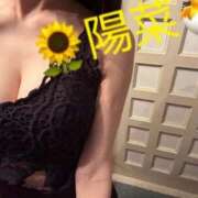 ヒメ日記 2025/12/08 18:07 投稿 陽菜【ヒナ】 Evolution1st キタ兎我野店