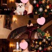 ヒメ日記 2025/12/09 09:51 投稿 陽菜【ヒナ】 Evolution1st キタ兎我野店