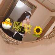 ヒメ日記 2026/02/19 17:11 投稿 陽菜【ヒナ】 Evolution1st キタ兎我野店