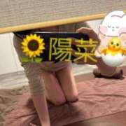 ヒメ日記 2026/03/03 18:28 投稿 陽菜【ヒナ】 Evolution1st キタ兎我野店