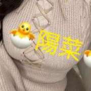 ヒメ日記 2025/07/14 21:21 投稿 陽菜【ヒナ】 Evolution1st ミナミ谷九店