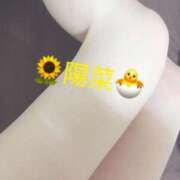 ヒメ日記 2025/07/15 10:02 投稿 陽菜【ヒナ】 Evolution1st ミナミ谷九店