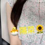 ヒメ日記 2025/08/13 11:21 投稿 陽菜【ヒナ】 Evolution1st ミナミ谷九店