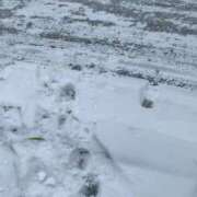 ヒメ日記 2025/12/04 08:28 投稿 本田はるか お姉さんLABO -艶-