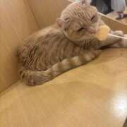 ヒメ日記 2025/11/10 15:16 投稿 るな ENTERTAINMENT SOAP LOVE VEGAS(ラブベガス)