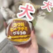 ヒメ日記 2025/12/10 10:06 投稿 るな ENTERTAINMENT SOAP LOVE VEGAS(ラブベガス)