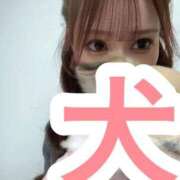 ヒメ日記 2026/02/14 16:06 投稿 るな ENTERTAINMENT SOAP LOVE VEGAS(ラブベガス)