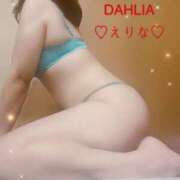ヒメ日記 2026/02/14 19:50 投稿 英里奈(えりな) DAHLIA(ダリア)