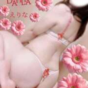 ヒメ日記 2026/08/04 16:33 投稿 英里奈(えりな) DAHLIA(ダリア)