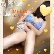 ヒメ日記 2026/08/09 21:27 投稿 英里奈(えりな) DAHLIA(ダリア)