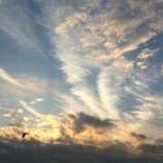 ヒメ日記 2026/02/20 09:53 投稿 さくら 君とふわふわプリンセスin西川口