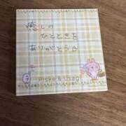 ヒメ日記 2025/08/21 05:55 投稿 百瀬いろは 松戸人妻花壇