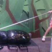 ヒメ日記 2025/10/01 16:14 投稿 百瀬いろは 松戸人妻花壇