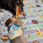 ヒメ日記 2025/08/21 17:37 投稿 小野しいな 日暮里ド淫乱倶楽部