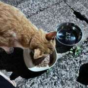 ヒメ日記 2025/07/19 20:03 投稿 シュリ Garter Princess＆Mrs（ガータープリンセス＆ミセス）