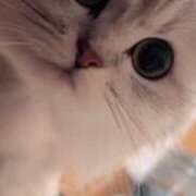 ヒメ日記 2025/10/14 15:17 投稿 シュリ Garter Princess＆Mrs（ガータープリンセス＆ミセス）