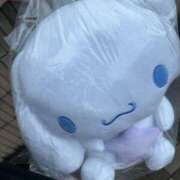 ヒメ日記 2025/10/15 12:03 投稿 シュリ Garter Princess＆Mrs（ガータープリンセス＆ミセス）