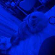 ヒメ日記 2025/11/07 14:00 投稿 シュリ Garter Princess＆Mrs（ガータープリンセス＆ミセス）