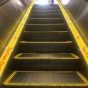 シュリ 🐧🐧🐧 Garter Princess＆Mrs（ガータープリンセス＆ミセス）