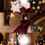 シュリ ⸜(*ˊᗜˋ*)⸝✨✨✨✨ Garter Princess＆Mrs（ガータープリンセス＆ミセス）