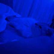 ヒメ日記 2025/12/13 16:01 投稿 シュリ Garter Princess＆Mrs（ガータープリンセス＆ミセス）