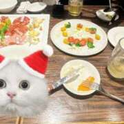 シュリ 🎅🎄🤍 Garter Princess＆Mrs（ガータープリンセス＆ミセス）