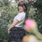 ヒメ日記 2025/07/29 16:46 投稿 リカ マテリアル