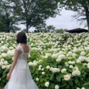 ヒメ日記 2025/08/12 23:16 投稿 リカ マテリアル