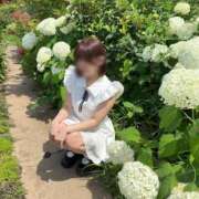 リカ びゅーーんッ マテリアル