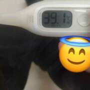 ヒメ日記 2025/08/05 12:25 投稿 ほたる プールサイド