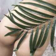 ヒメ日記 2025/10/04 17:46 投稿 ほたる プールサイド