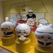 ヒメ日記 2025/10/08 16:47 投稿 ほたる プールサイド