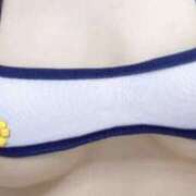 ヒメ日記 2025/10/30 06:01 投稿 ほたる プールサイド