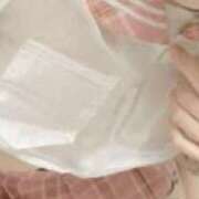 ヒメ日記 2025/11/12 10:35 投稿 ほたる プールサイド