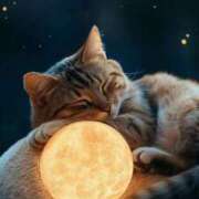 ヒメ日記 2025/08/19 22:38 投稿 中嶋 HERMINE-エルミネ-