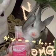 ヒメ日記 2025/09/27 23:57 投稿 中嶋 HERMINE-エルミネ-