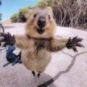 ヒメ日記 2025/10/13 15:59 投稿 中嶋 HERMINE-エルミネ-