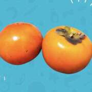 ヒメ日記 2025/11/05 00:57 投稿 中嶋 HERMINE-エルミネ-