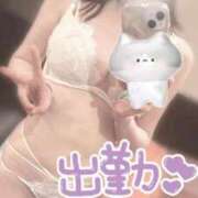 ヒメ日記 2025/09/05 16:35 投稿 まりな BIKINISPA「真」-ビキニスパ-