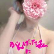 ヒメ日記 2025/09/15 04:45 投稿 まりな BIKINISPA「真」-ビキニスパ-