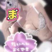 ヒメ日記 2025/10/11 00:55 投稿 まりな BIKINISPA「真」-ビキニスパ-