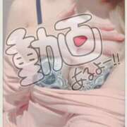 ヒメ日記 2025/09/03 14:42 投稿 やえ 萌えカワ