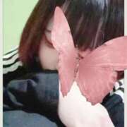 ヒメ日記 2026/01/28 18:44 投稿 やえ 萌えカワ